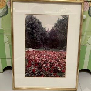 Vtg Photograph Framed & Matted of Poppies In A Field Along With Berkeley College
